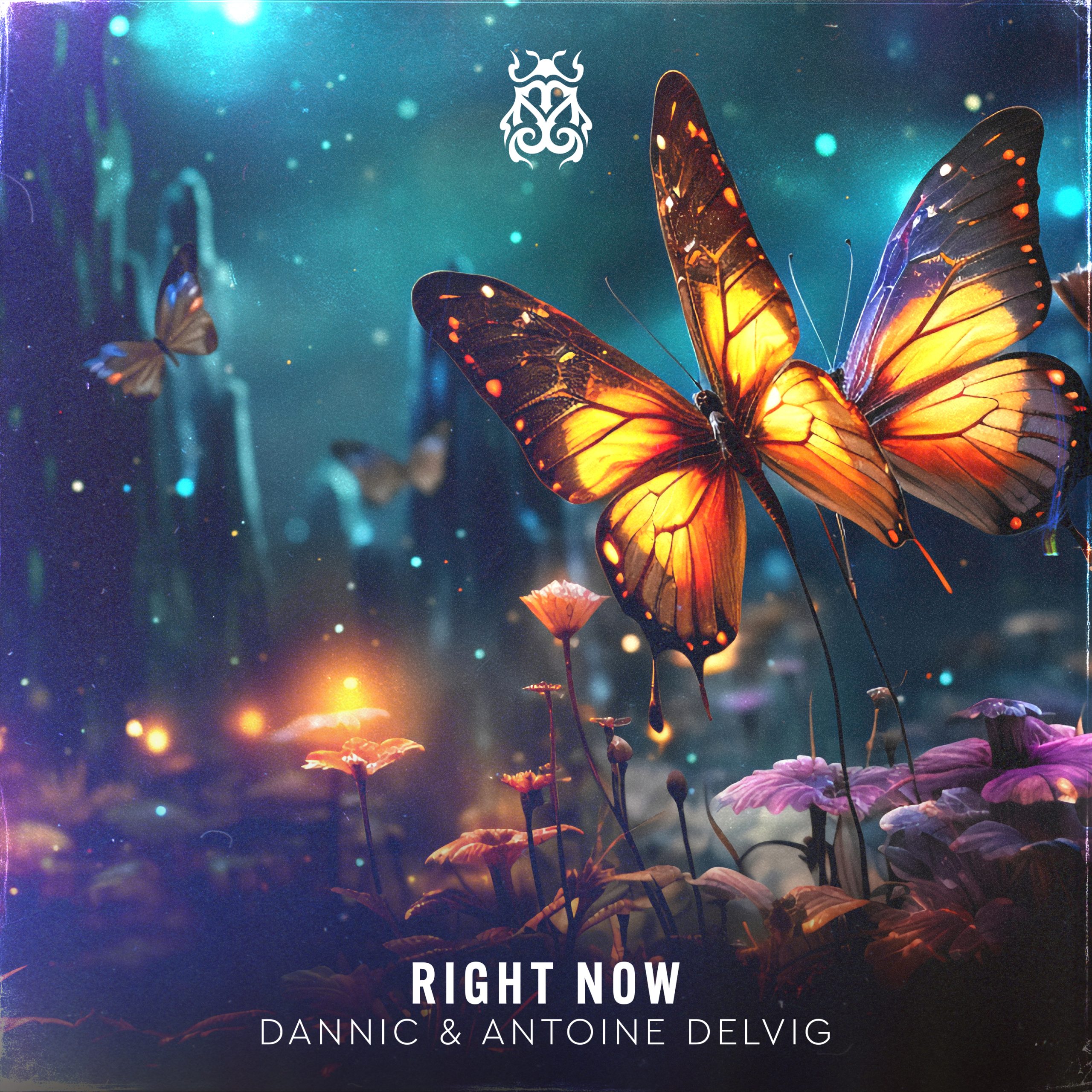 Dannic releases “Right Now” on Tomorrowland Music